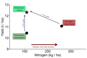 effects of plant diversity and nitrogen on yield